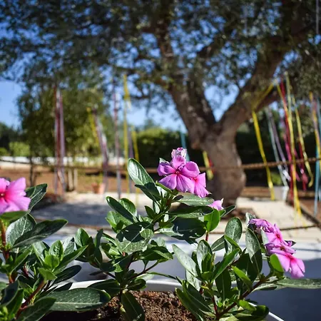 Vakantiehuis Passa Da Nunu *