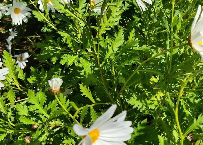 Vakantiehuis Passa Da Nunu Monopoli