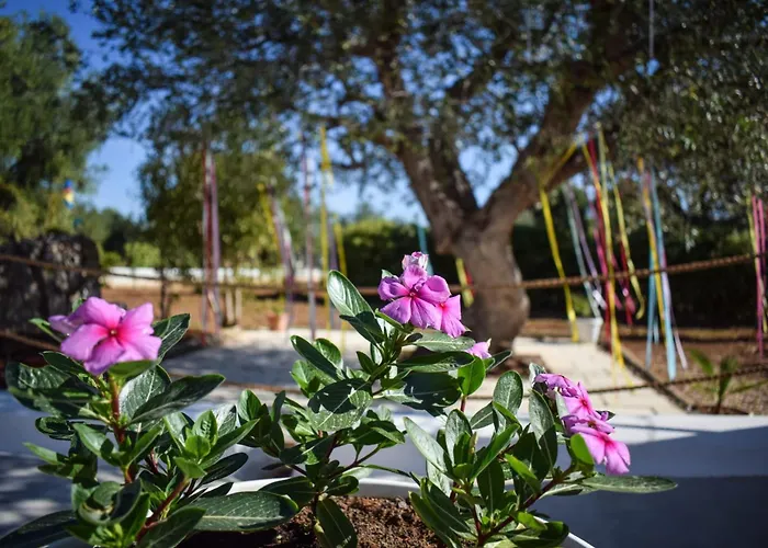 Semesterbostad Passa Da Nunu *